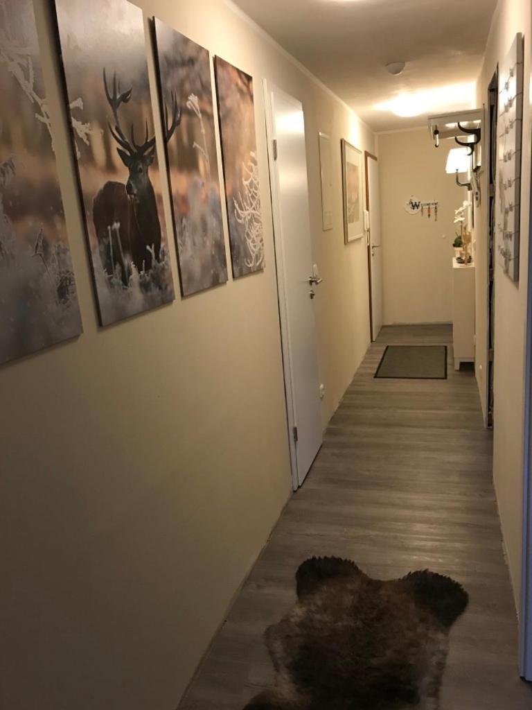 Wurmbergtraum Celina In Braunlage 4 Sterne Zertifiziert Vom Dtv Inklusive Waeschepakete Apartment ภายนอก รูปภาพ